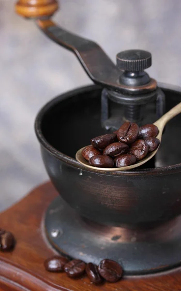 Rostade kaffebönor med kaffekvarn. — Stockfoto