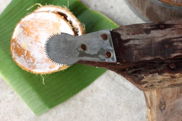 Coconut grater — Stock Photo, Image