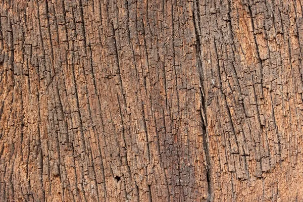 Old wood background texture — Stock Photo, Image