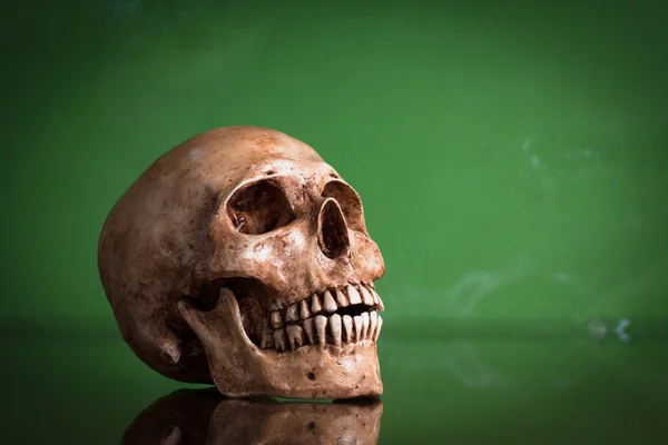 Wyblakły ludzkiej czaszki — Zdjęcie stockowe