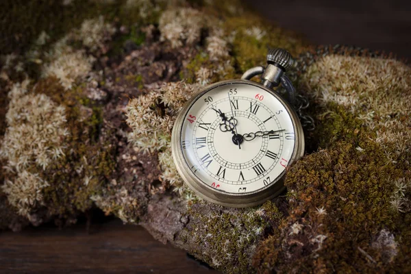 Staré hodinky na starý strom s mechem. — Stock fotografie