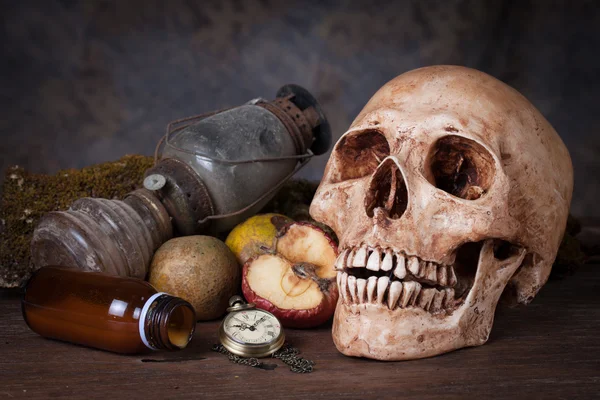 Crânio humano desgastado, Natureza morta — Fotografia de Stock