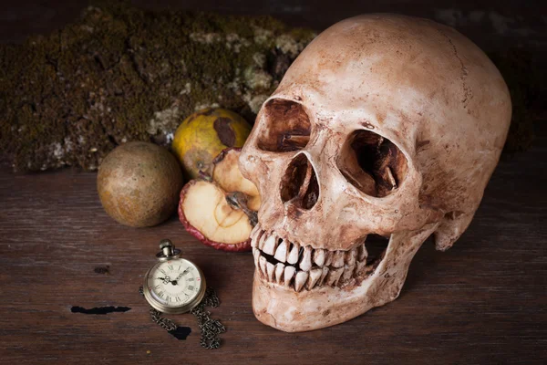 Calavera humana envejecida, Naturaleza muerta — Foto de Stock