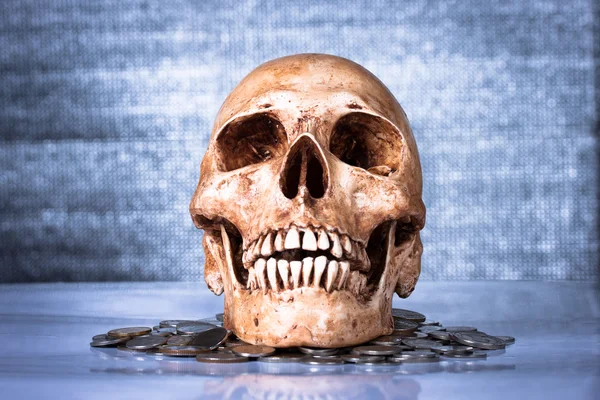 Weathered human skull and coins — Stock Photo, Image