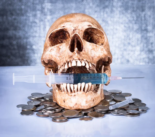 Выветрившийся череп и монеты — стоковое фото