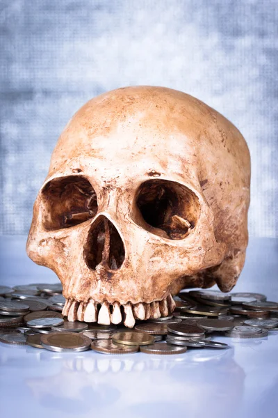 Weathered human skull and coins — Stock Photo, Image