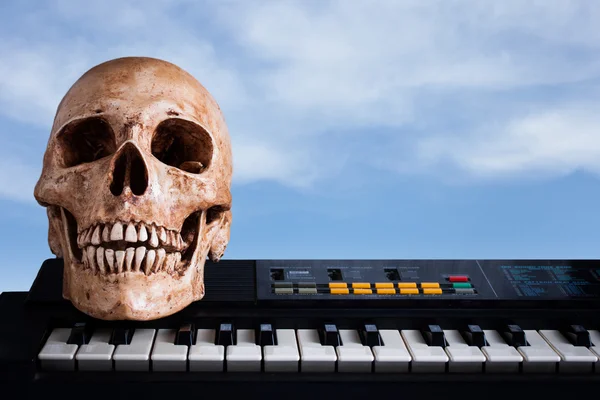 Menselijke schedel met toetsenbord Rechtenvrije Stockafbeeldingen