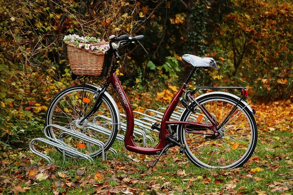 Geparktes Fahrrad — Stockfoto