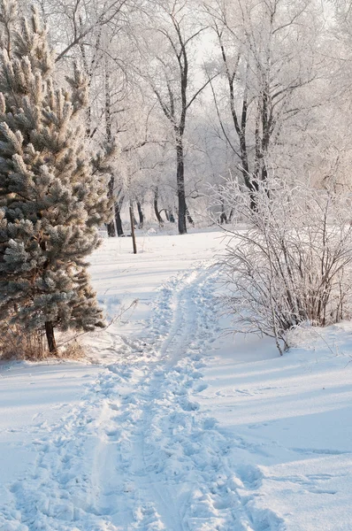 Vinter — Stockfoto