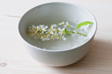 kuş kiraz'ın çiçekleri