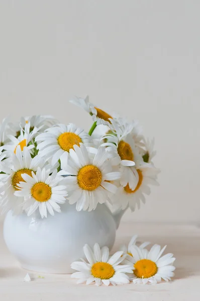 Frischer Garten-Kamillenstrauß in Vase auf Holztisch — Stockfoto