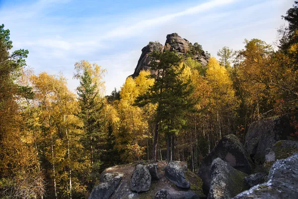 秋の山の森 秋の森の中の山の岩 秋の風景 ストック画像