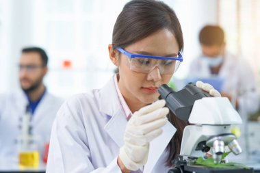 Çiftlik Tarım Laboratuvarı 'nda mikroskop araştırması yapan kadın bilim adamı. Doktor ya da eczacı test biyoteknoloji bitki yaprağı alternatif tıp laboratuvar tıbbında yasal