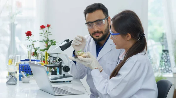 女性科学者や薬剤師と男性教授ガンジャサンプリング研究テストを探しています化学抽出バイオテクノロジーハーブ葉代替医療ファームアグロラボで合法な — ストック写真