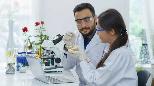 Kvinna Forskare Eller Farmaceut Och Man Professor Söker Ganja Sapling — Stockfoto