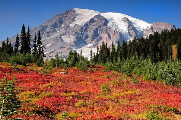 Monte Rainier colores de otoño — Foto de Stock