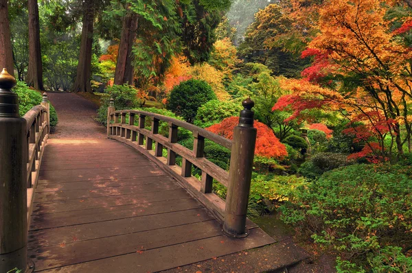 Bridge in autumn — Stock Photo, Image