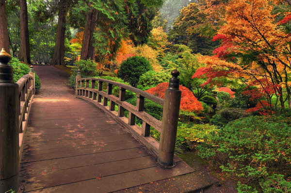 Bridge in autumn