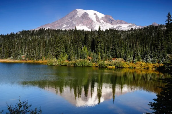 MT rainier med reflektion — Stockfoto