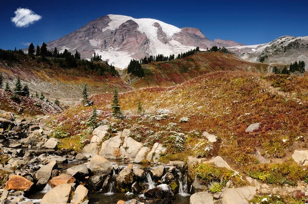 Vackra mount rainier — Stockfoto