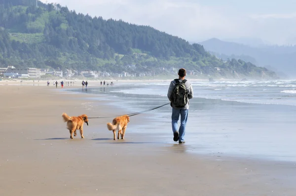 Man med hund promenera på stranden — Stockfoto