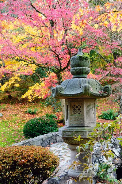 Japon Bahçesi — Stok fotoğraf