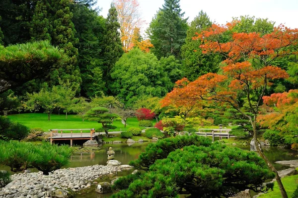 Различные цвета Японского сада — стоковое фото
