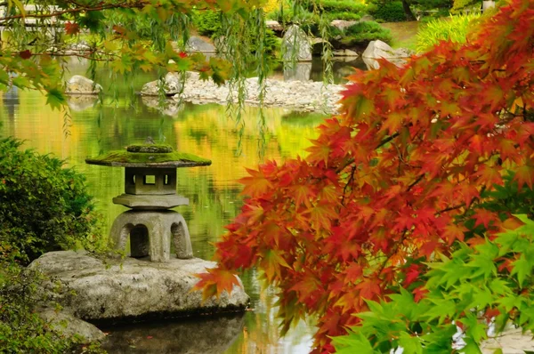 Красивый японский сад осенней славы — стоковое фото