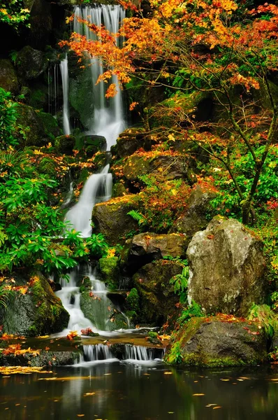 Waterfall in autumn closeup — Stock Photo, Image