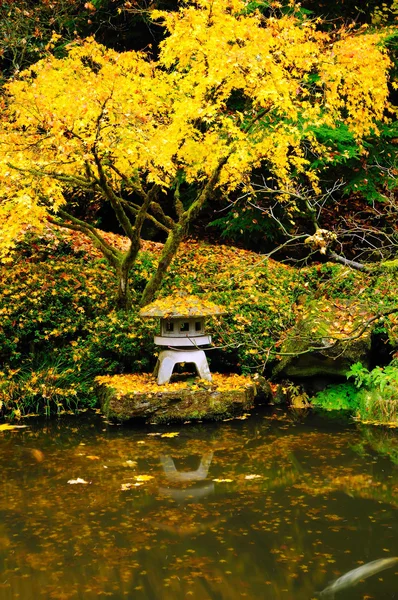 Осенние цвета в саду — стоковое фото