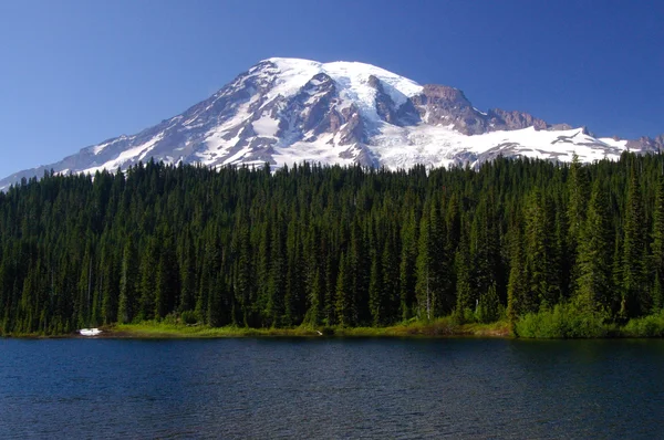 Mount rainier porträtt — Stockfoto