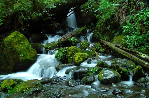 A silky waterfall horizontal — Stock Photo, Image