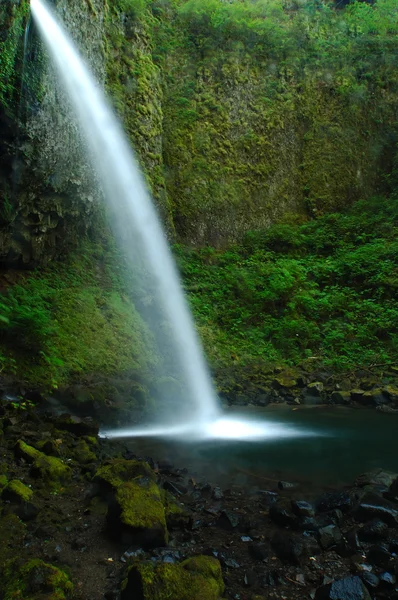 Pony tail falls — Stock Photo, Image