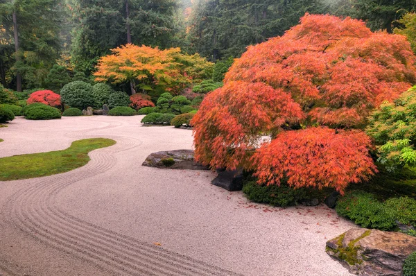 Χρώματα του φθινοπώρου στον κήπο — Φωτογραφία Αρχείου