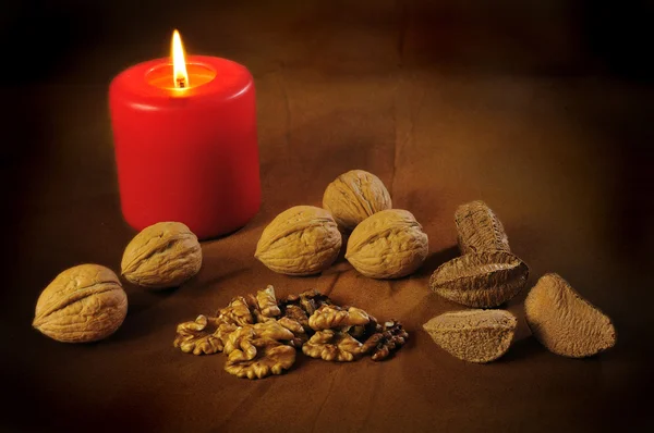 Hard nuts still life — Stock Photo, Image