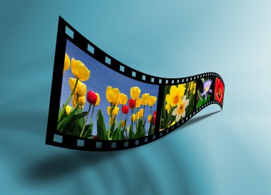 Film şeridi çiçek
