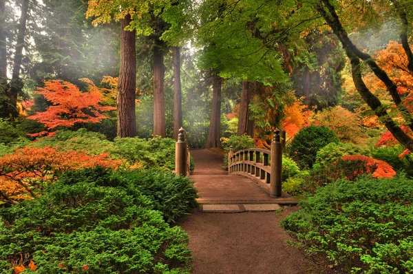 Autumn in a park — Stock Photo, Image