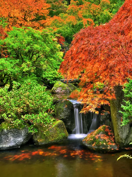 Giardino d'autunno — Foto Stock