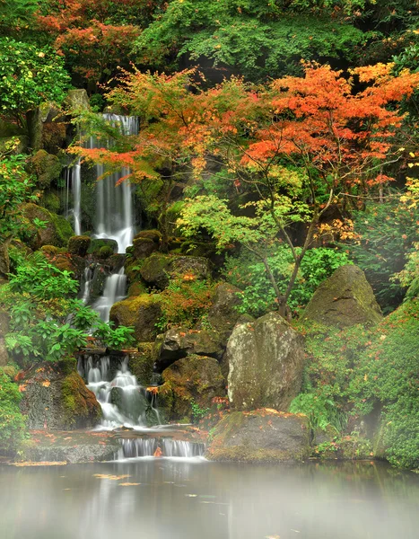 Autumn fog and waterfall — Stock Photo, Image