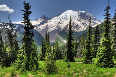mt. rainier gündoğumu