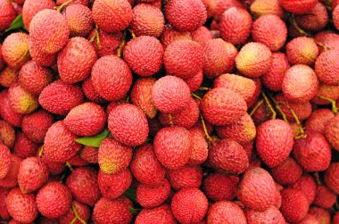 Olgun lychee meyve