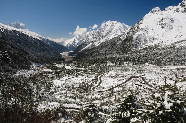 Долина Юмтанг в Сиккиме — стоковое фото