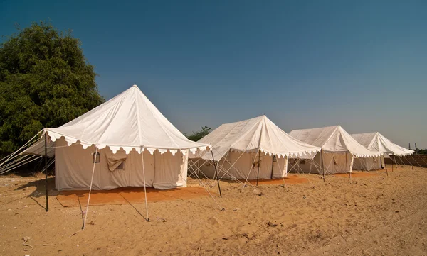 Summer camping in desert — Stock Photo, Image