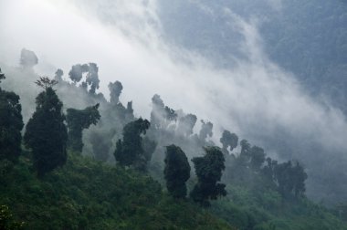 mistik Himalaya vadi그것에 검은색과 녹색 반사와 레트로 선글라스. 액세서리-고립 된 안경의 벡터 일러스트 레이 션