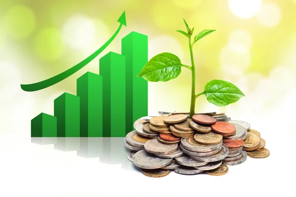 Tress growing on coins — Stock Photo, Image