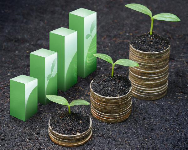 Tress growing on coins