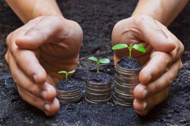 sikke üzerinde büyüyen tress tutan eller