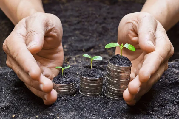 Hände, die Tress auf Münzen wachsen lassen — Stockfoto