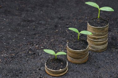 tress sikkeleri üzerinde büyüyen