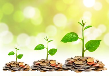 tress sikkeleri üzerinde büyüyen